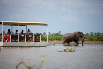 3-Day Nyerere National Park safari from Zanzibar