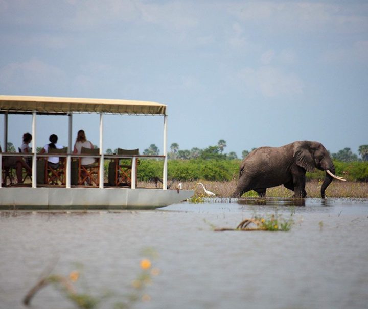 3-Day Nyerere National Park safari from Zanzibar