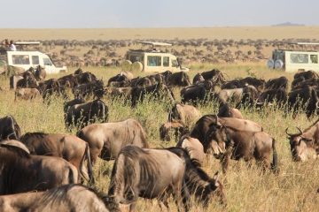 4 Days Tanzania Safari from Zanzibar