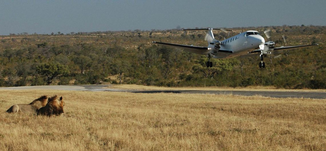 Safari From Zanzibar Blog