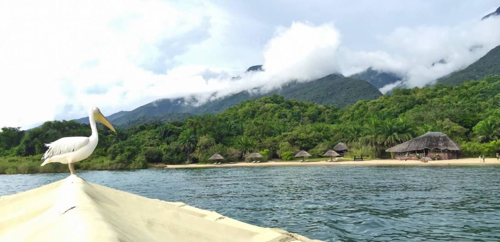 Mahale Tanzania Destinations