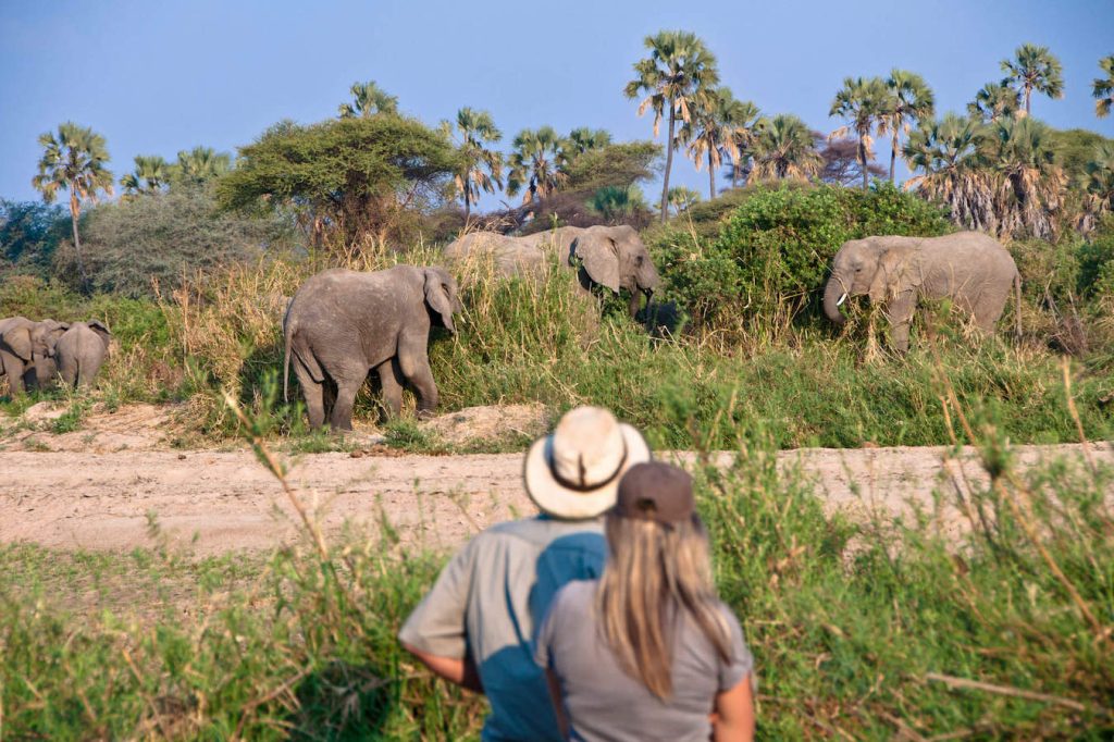 Ruaha Tanzania Destinations